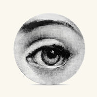 fornasetti tema e variazioni no 248 wall plate