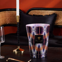 baobab collection maxi wax nyeleti candle max 24