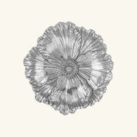 Poppy Flower Bowl Medium Silver buccellati poppy flower bowl medium silver