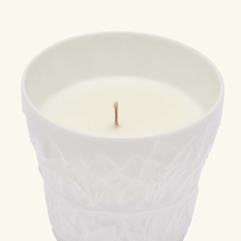 Angelic Almond Tumbler with Candle bernardaud angelic almond tumbler with candle