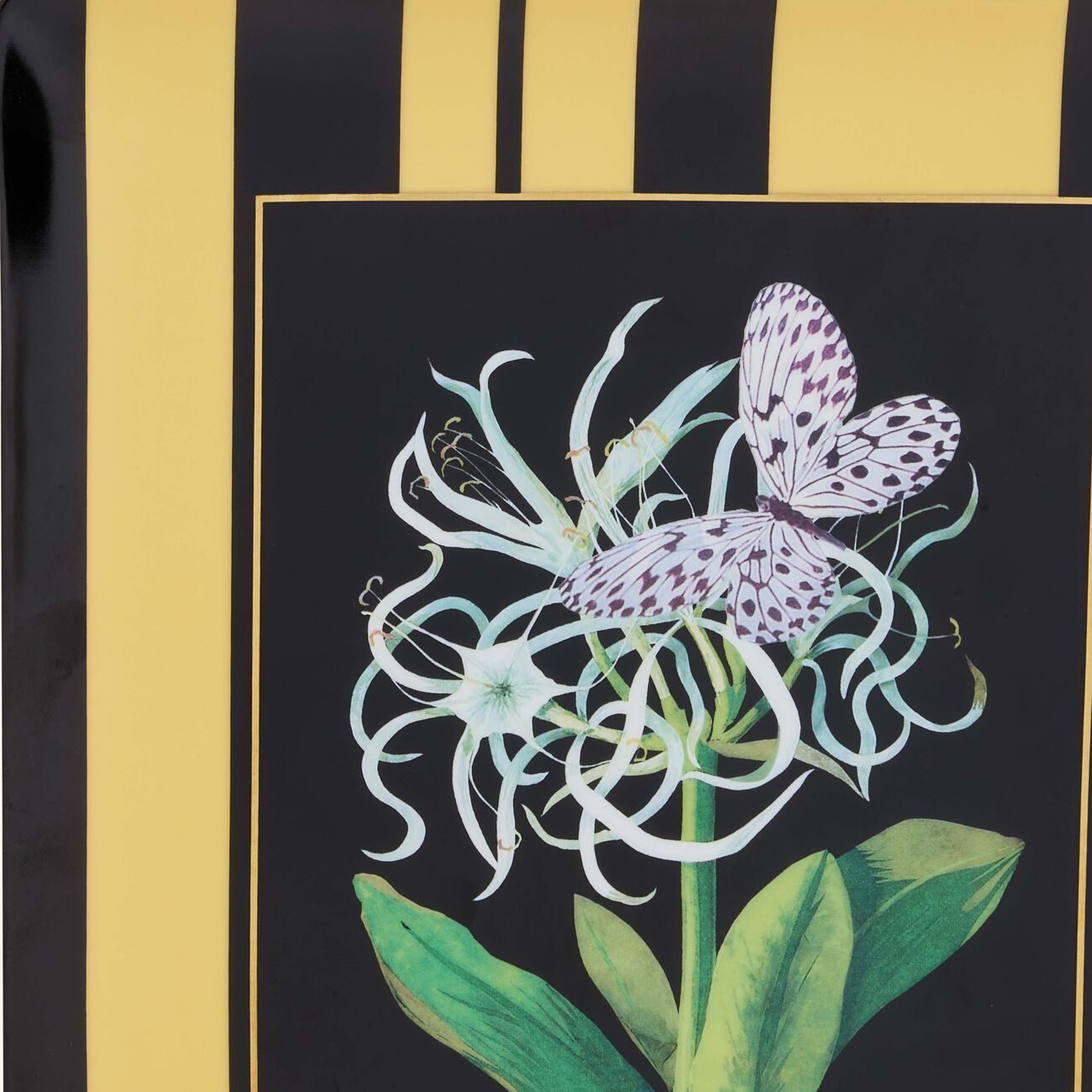 Natura Jonquille De Mer Serving Platter Rectangular Black 22cm bernardaud natura jonquille de mer serving platter rectangular black 22cm