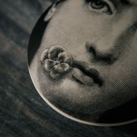 fornasetti tema e variazioni no 137 round box