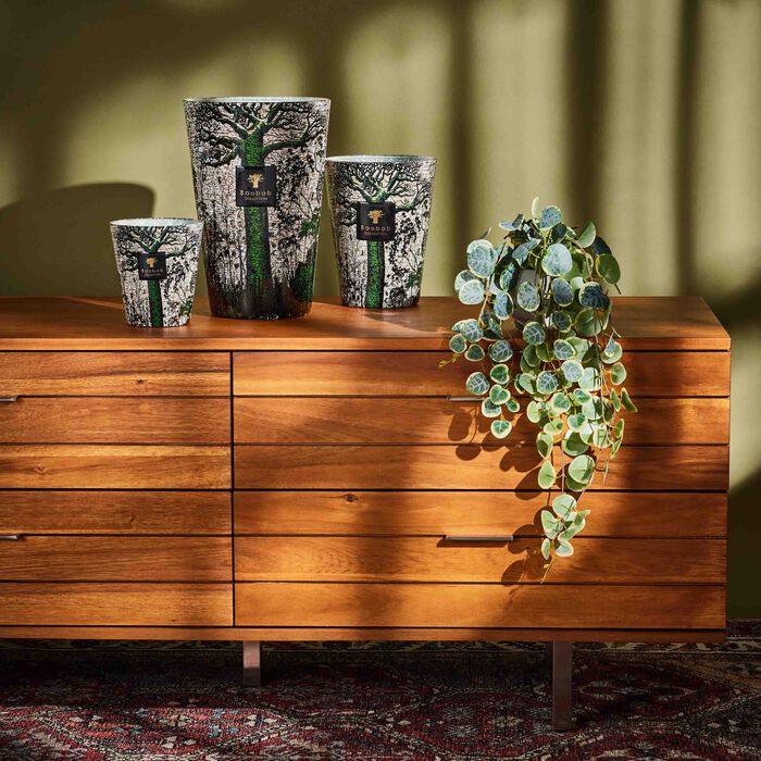 baobab collection sacred trees kani candle maxi max