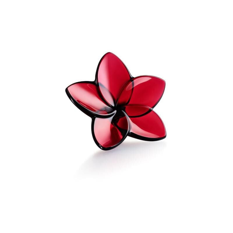 The Bloom Collection The Bloom Collection, large