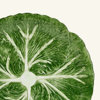 les ottomans radicchio dinner plate round green 30cm