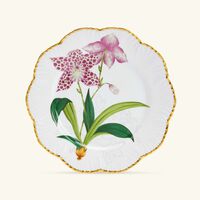 pinto paris histoires d orchidees dinner plate round green 26cm