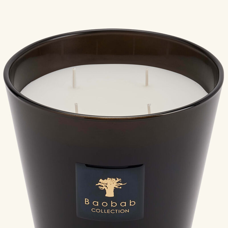 baobab collection encre de chine candle max 16