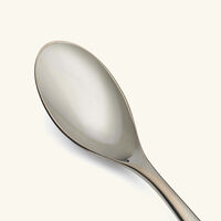 christofle l ame de dessert spoon black