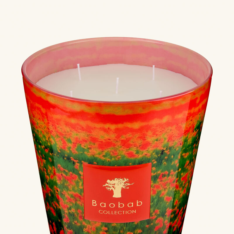 baobab collection poppies candles max 24