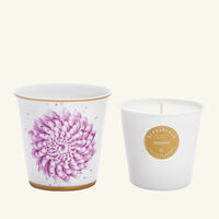 In Bloom Tumbler with Candle bernardaud in bloom tumbler with candle
