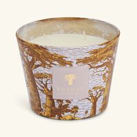 baobab collection sacred trees boukani candle max 10