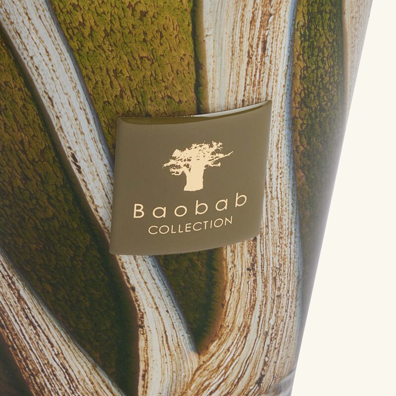 baobab collection woods sherwood candle max 16