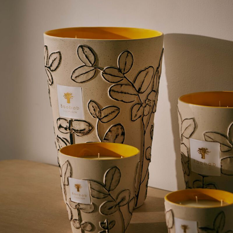 baobab collection folia calanque candle max 35