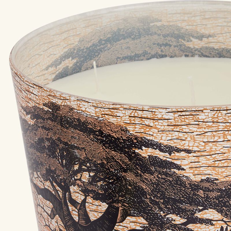 Sacred Trees Mankono Candle Max 24 baobab collection sacred trees mankono candle max 24