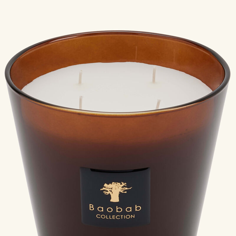 baobab collection cuir de russie candle max 16
