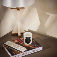 Rose Poivrée Giambattista Valli Candle 270g trudon rose poivr e giambattista valli candle 270g