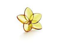 The Bloom Collection The Bloom Collection, small