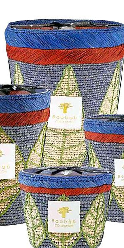 baobab collection ravintsara manga candle max 24