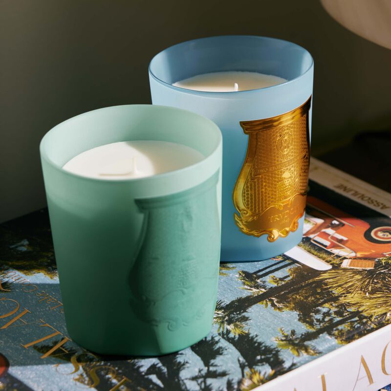 Under The Trees Candle 270g trudon under the trees candle 270g