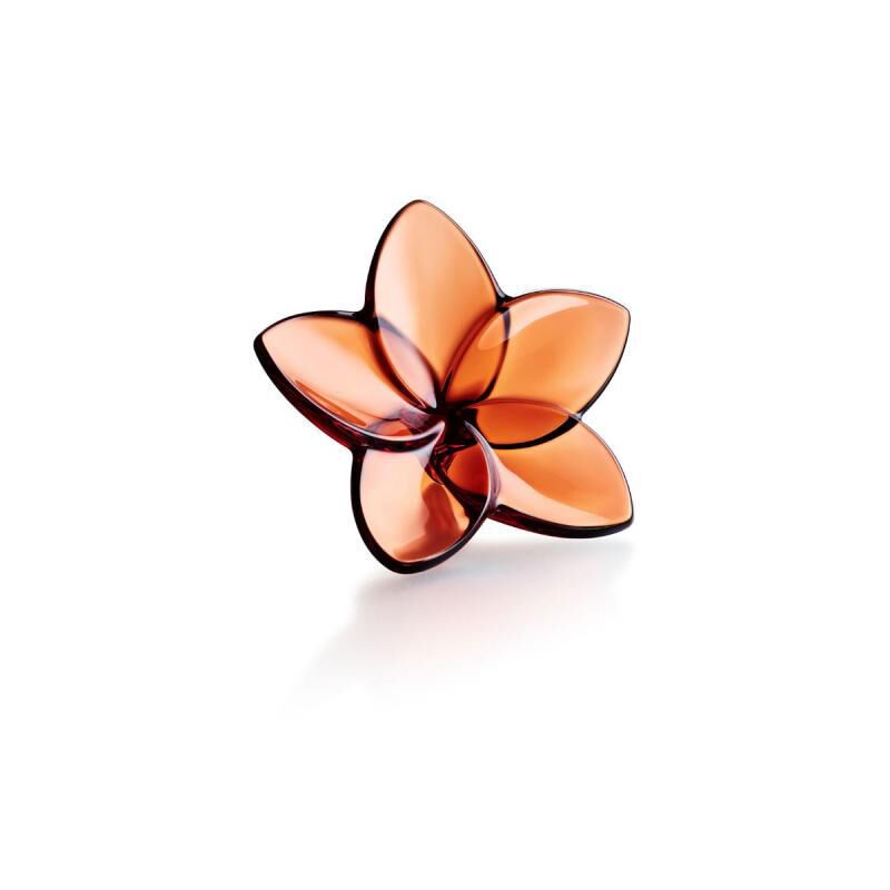 The Bloom Collection The Bloom Collection, large