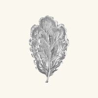 Oak Leaf Bowl Small buccellati oak leaf bowl small