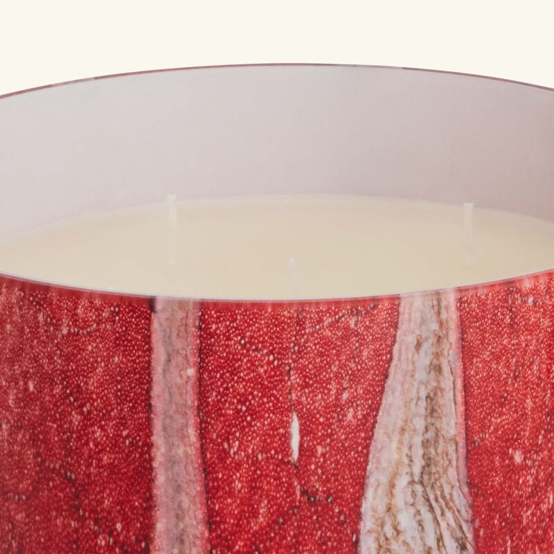 baobab collection woods risoud candle max 24