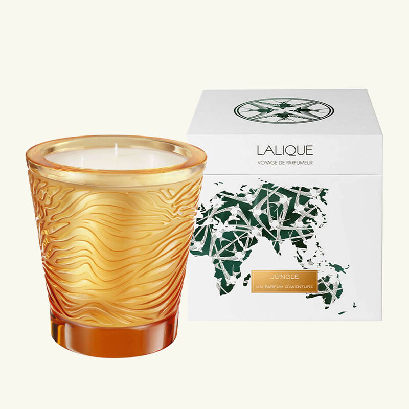 شمعة جنغل محدودة الإصدار large