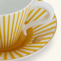 bernardaud delphos brick tea cup saucer pattern