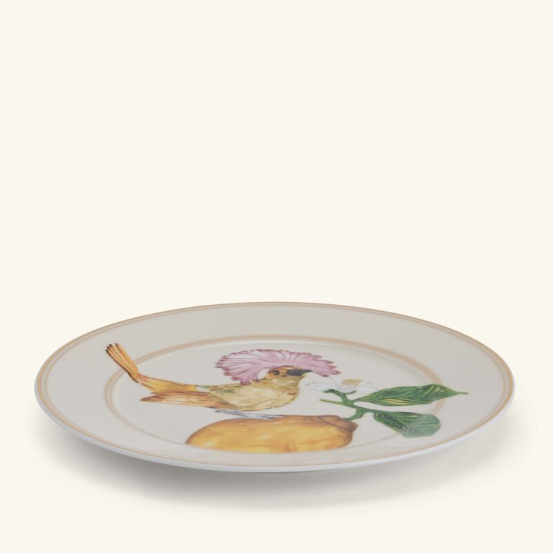 Idyllia Bread & Butter Plate Round Flycatcher 18 cm rosenthal idyllia bread butter plate round flycatcher 18 cm