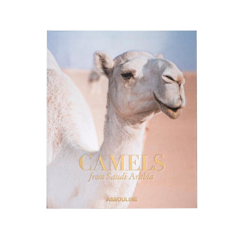 Camels From Saudi Arabia Book, large