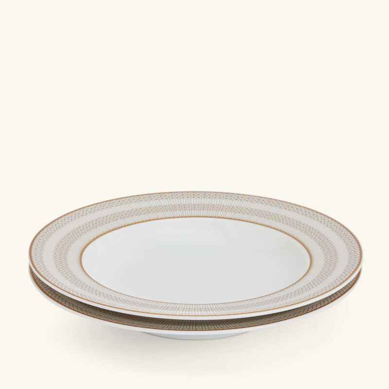 Arcadia Soup Plate Gold & Platinum 23cm Set of 2 baccarat arcadia soup plate gold platinum 23cm set of 2