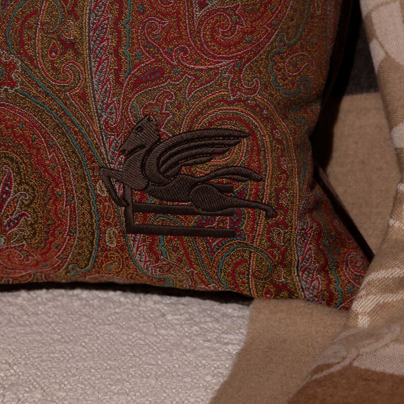 etro arnica embroidered cushion brown