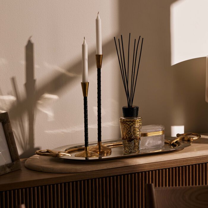 baobab collection royal reflection diffuser