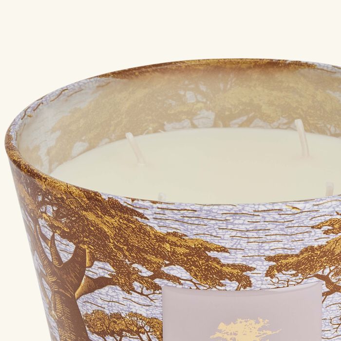 baobab collection sacred trees boukani candle max 10