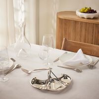 كريستوفل وعاء المكسرات غاليا كارنايشن سيرفر باللون الفضي