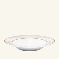 baccarat arcadia soup plate gold platinum 23cm set of 2