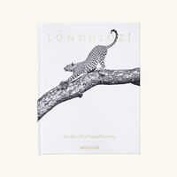 assouline londolozi the safari that changed everything book 30x24cm