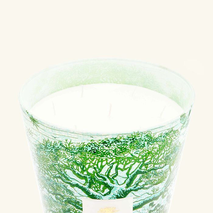 medium