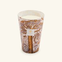 baobab collection sacred trees dualla candle maxi max