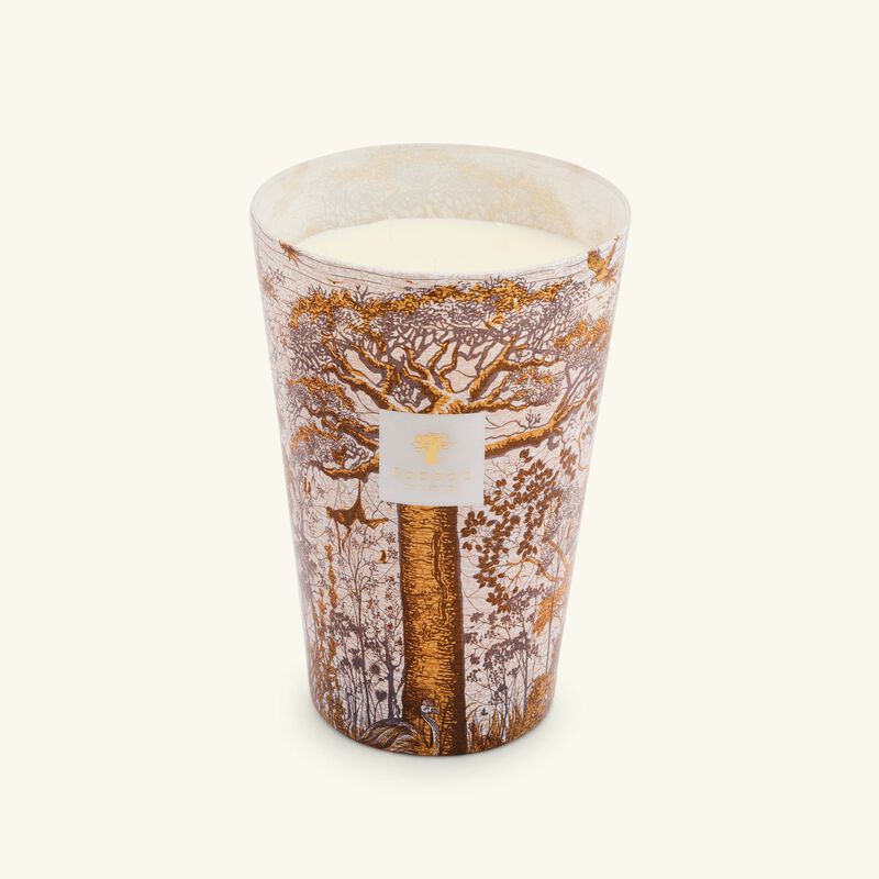 baobab collection sacred trees dualla candle maxi max