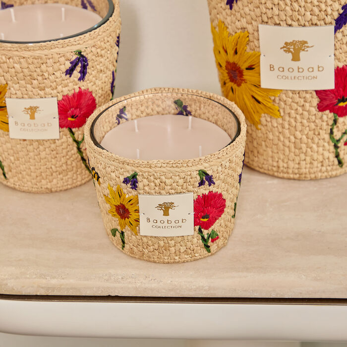 baobab collection ahitra candles max 10