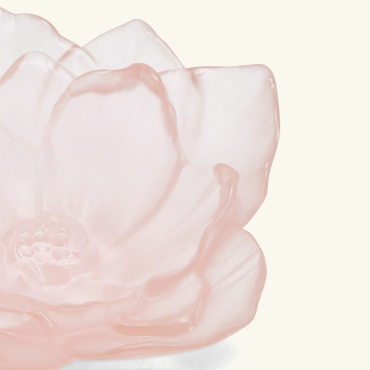 daum camellia centerpiece small pink
