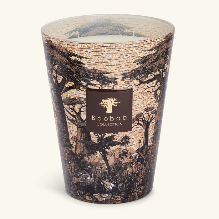 baobab collection sacred trees mankono candle max 24