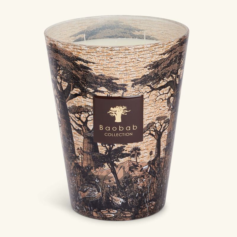 شمعة سيكرد تريز مانكونو المعطرة ماكس 24 باوباب شمعة سيكرد تريز مانكونو المعطرة ماكس 24