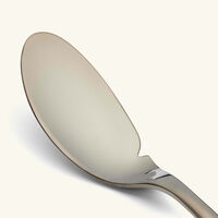 christofle l ame de fish knife black