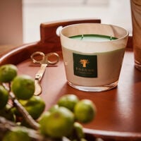 baobab collection atlas tichka max 10 candle