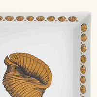 fornasetti giro di conchiglie trinket tray square small gold