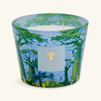 baobab collection sacred trees yarani candle max 10
