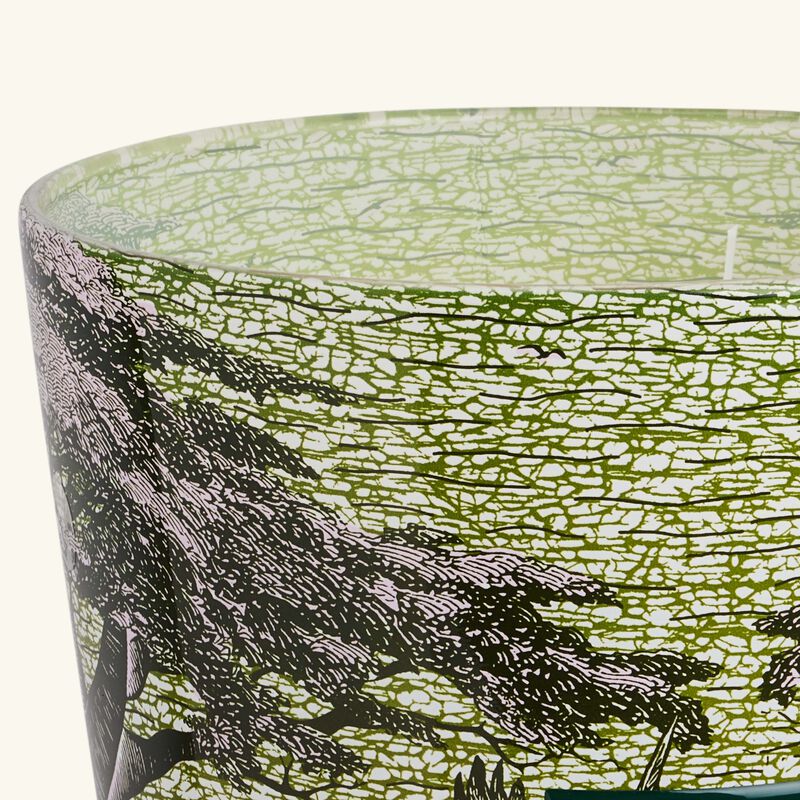 باوباب شمعة سيكرد تريز توبا المعطرة ماكس 35