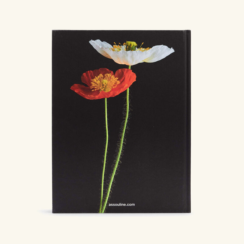 Flowers Art & Bouquets Book 33x25cm assouline flowers art bouquets book 33x25cm